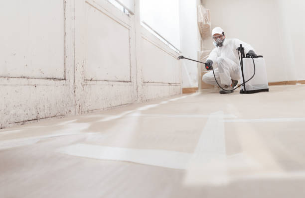 24/7 Emergency Mold Remediation experts in Meadow Glade, WA