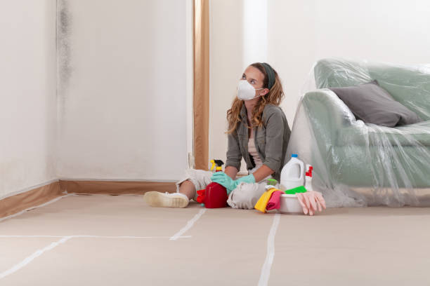 Reliable Mold Remediation contractor in Meadow Glade, WA by 24 Hour Mold Removal